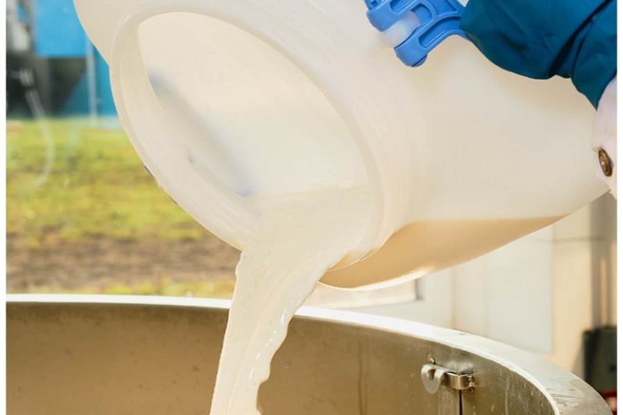 Благодаря бережливым технологиям кубанский производитель увеличил надои молока 