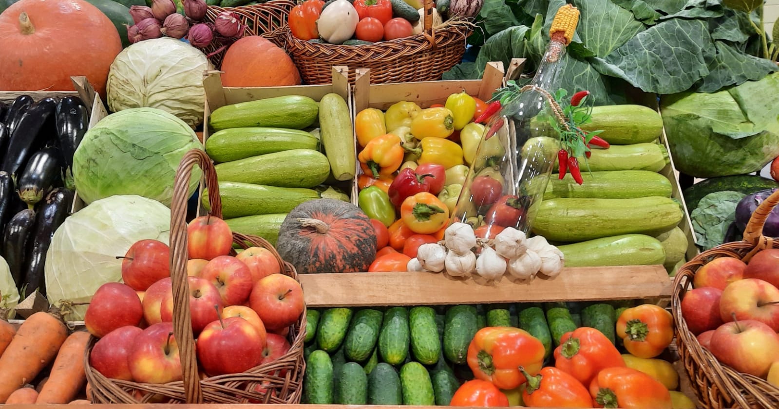 Краснодарский край увеличил сбор урожая овощей