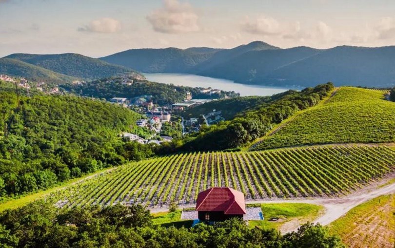 Эногастрономические туры «Винные дороги» из «Абрау-Дюрсо» свяжут винодельни Краснодарского края
