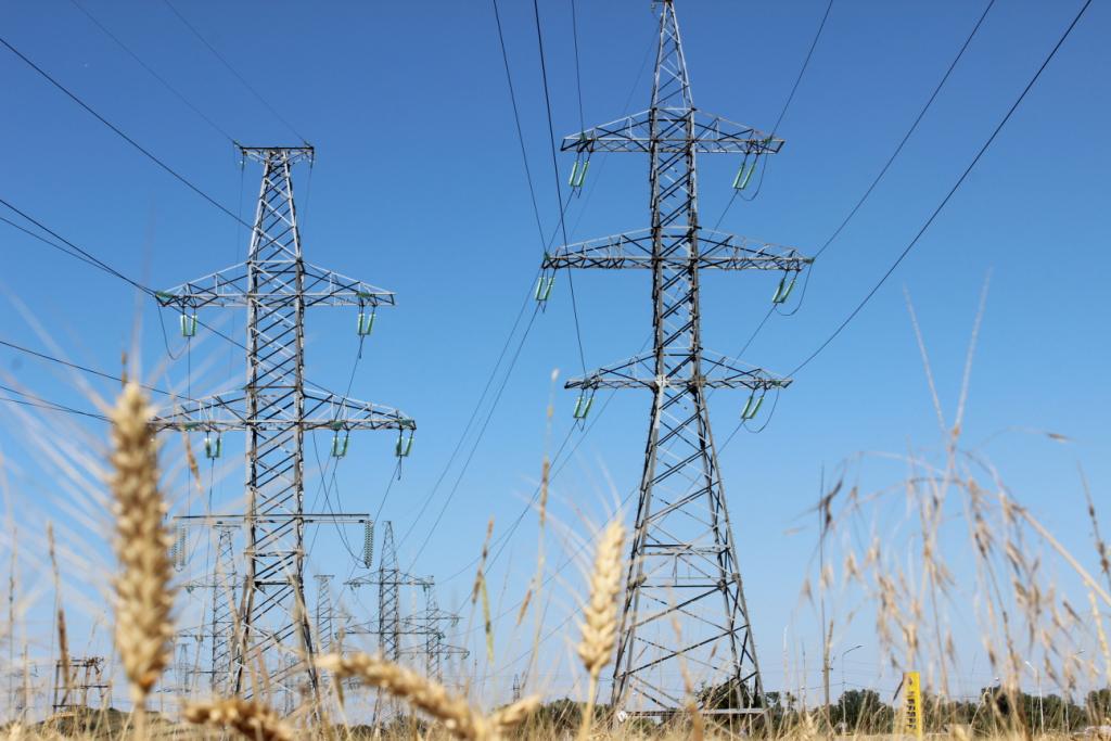 «Россети Кубань» обеспечила электроэнергией 135 объектов АПК в юго-западных районах Краснодарского края