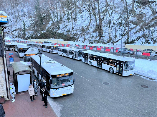 На горный кластер в Сочи пустят в период новогодних каникул пустят дополнительные автобусы
