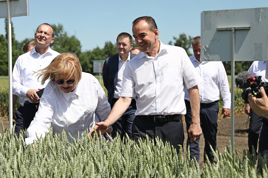 Новые региональные стандарты сохранения плодородия почвы будут введены на Кубани