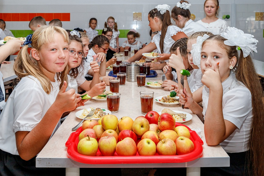 В четырех школах Кубани планируют начать строительство пищеблоков полного цикла