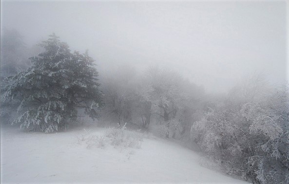 Ураганный ветер и дожди со снегом пришли на Кубань