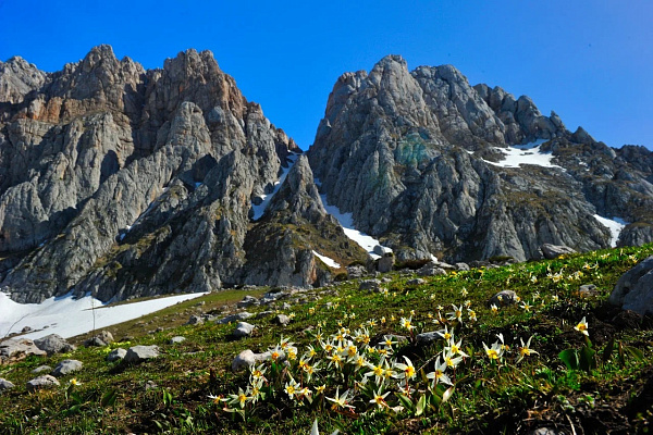 12 мая, в день образования Кавказского государственного природного биосферного заповедника вход будет бесплатным