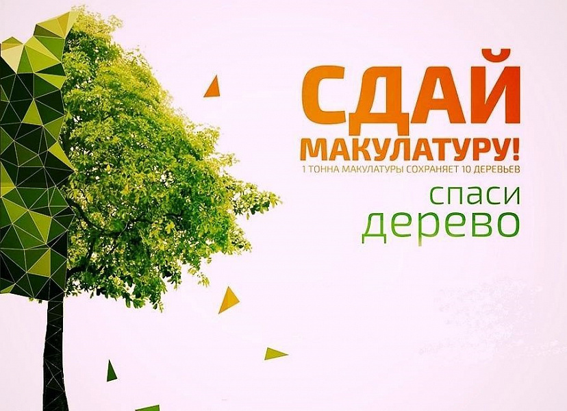Акция  «Сдай макулатуру - спаси дерево!» продлится до 20 декабря