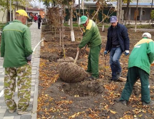 В станице Гостагаевской в новом парке провели большую высадку деревьев