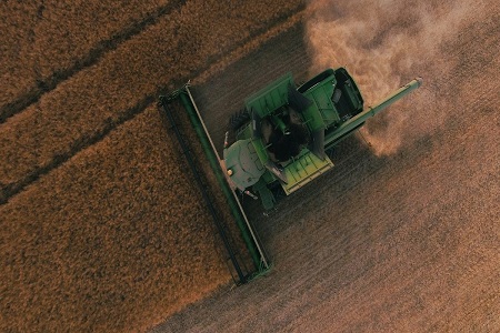 В Краснодаре выросла урожайность зерна