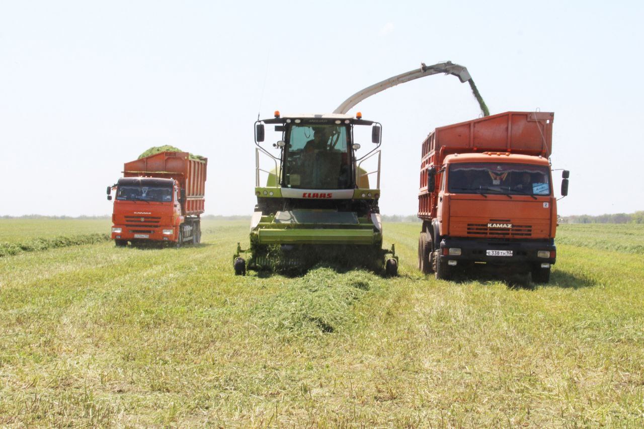 Фермеры Щербиновского района приступили к заготовке сенажа