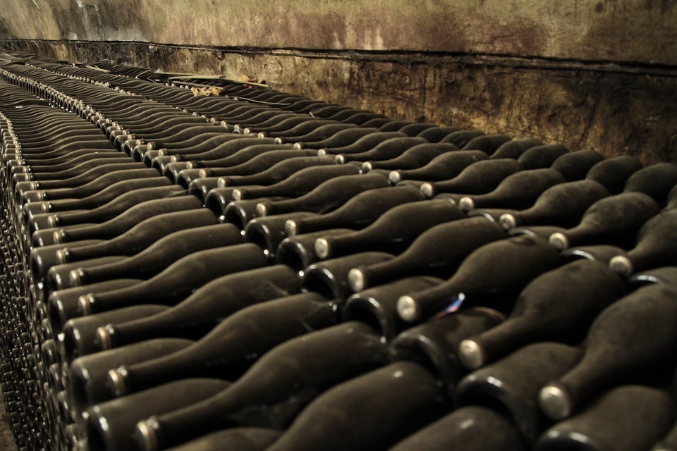 Кубань снова признали лидером по количеству винодельческих хозяйств