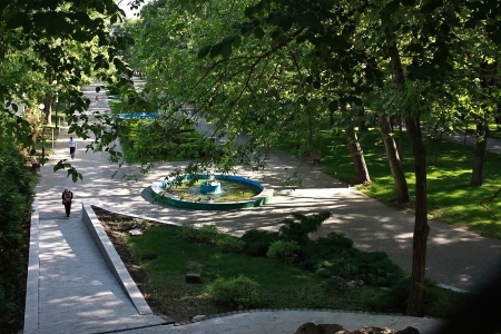 Единую концепцию развития городских парков разработают в Краснодаре