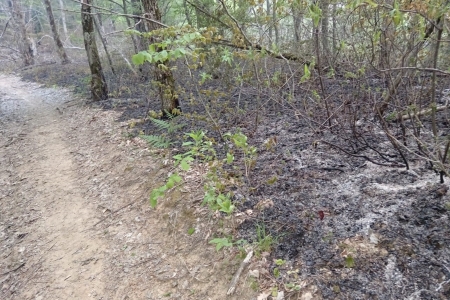 Крупный лесной пожар локализовали в Туапсинском районе