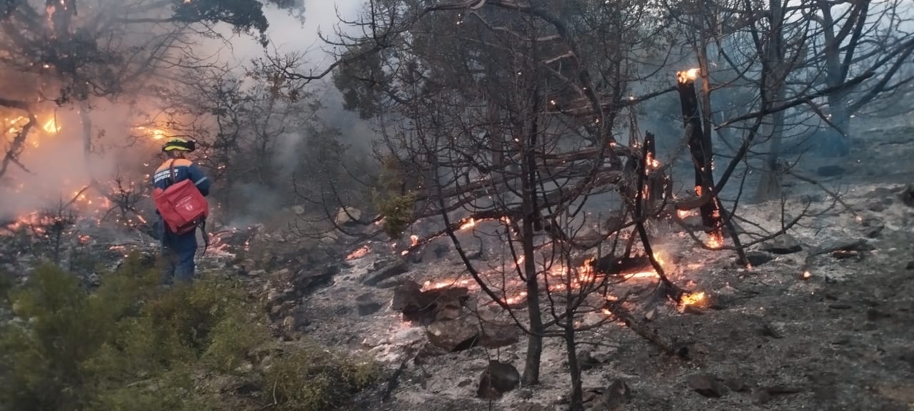 Пожар в Сухой щели потушен