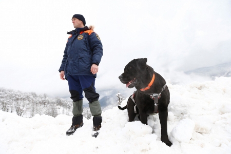 Губернатор Кубани осмотрел место схода лавины в горах Сочи