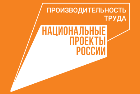 Кубань в лидерах страны по вовлечению предприятий в нацпроект «Производительность труда»