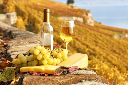 Вениамин Кондратьев: на регион приходится треть от всех площадей виноградников в стране