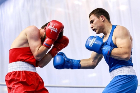 19 наград принесли региону кубанские боксеры на первенствах России
